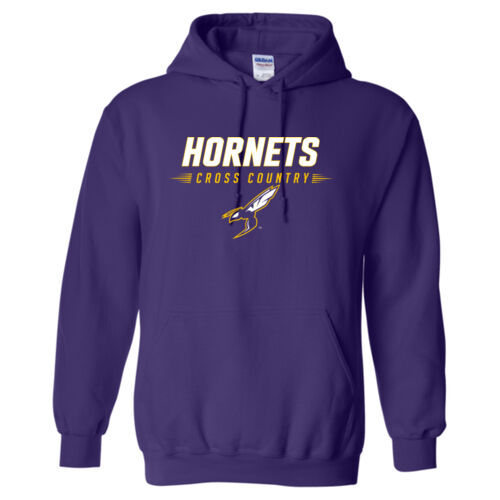 D1 - Gildan 18500 Adult Heavy Blend Hooded Sweatshirt Thumbnail